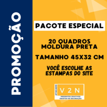 Pacotes Promocionais Quadros Decorativos 